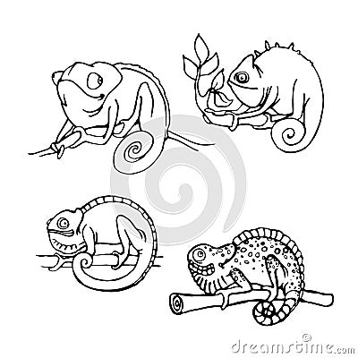 Set of cheerful chameleons sitting on a branch vector illustration with black contour lines Vector Illustration